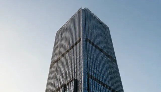 内容分发中的服务支持问题与优化建议